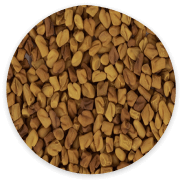 Fenugreek